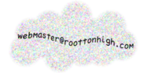 Contact e-mail